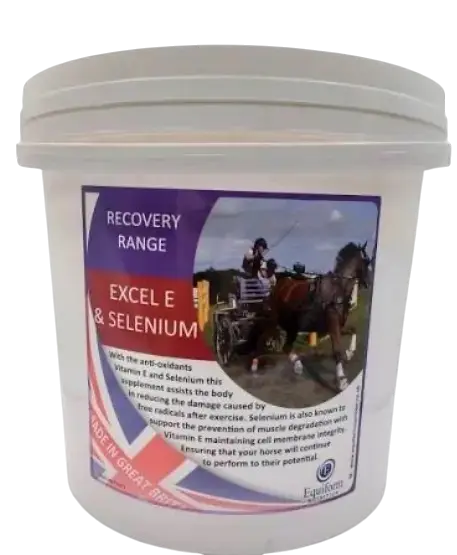 Excel E & Selenium