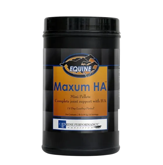 Maxum HA
