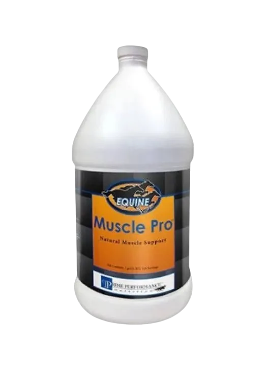 Muscle Pro
