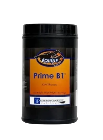 Prime B1