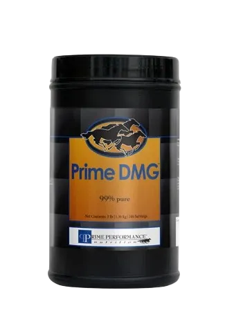 Prime DMG