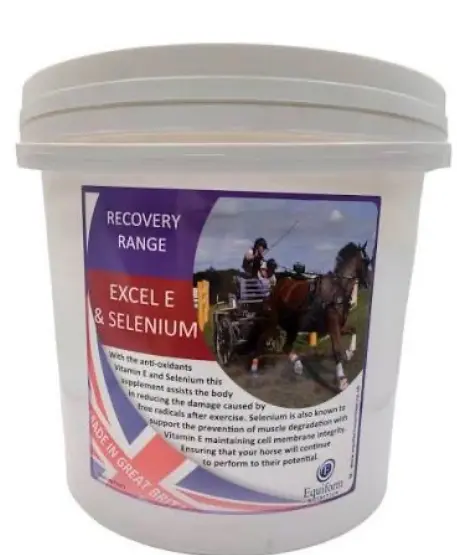 Excel E & Selenium