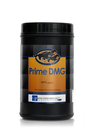 Prime DMG